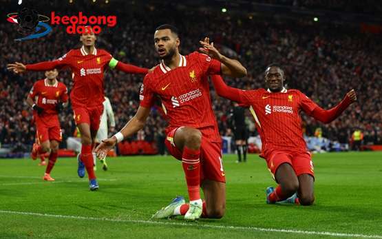  Liverpool độc diễn đường đua